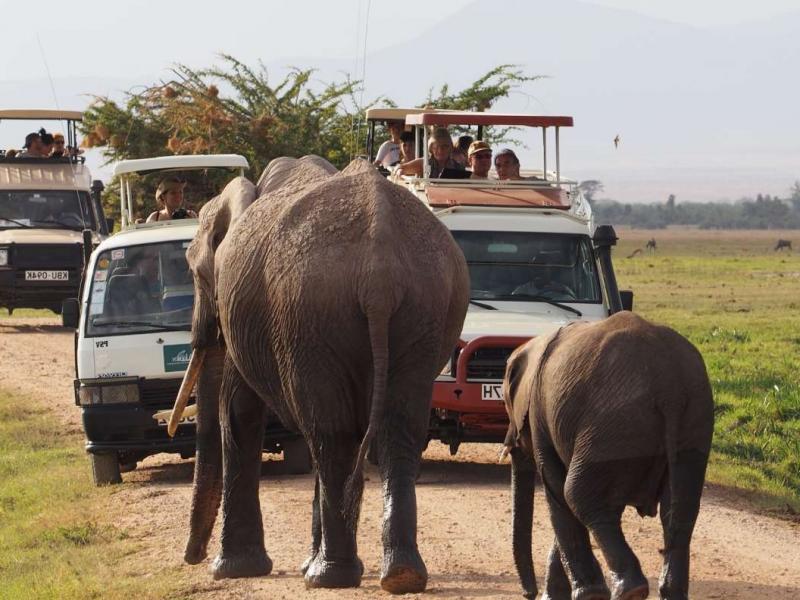 Amboseli National Park