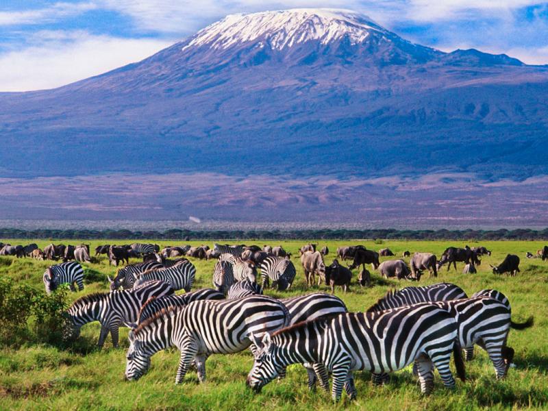 Amboseli National Park